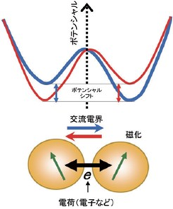 図2：粒子間のトンネル伝導による電気分極の形